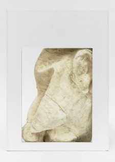 Ute Müller, 2019, cardboard, latex, variable dimensions.